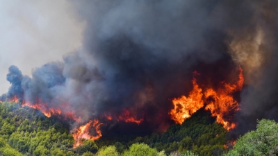 Συναγερμός στην Πυροσβεστική – Δύσκολη πυρκαγιά στη Μεσσηνία