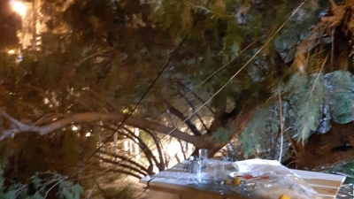 Μυτιλήνη: Κλαδί δέντρου έπεσε πάνω στην αντιδήμαρχο την ώρα που έτρωγε σε ταβέρνα