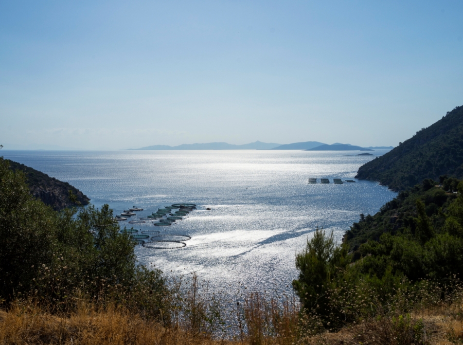 Πραγματοποιήθηκε η 13η Γενική Συνέλευση της ΕΛΟΠΥ - Σημαντική παρέμβαση από την Υφυπουργό Φωτεινή Αραμπατζή