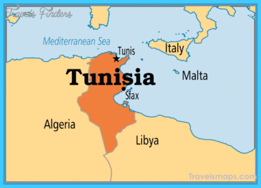 Τυνησία: Μετριοπαθείς οι αντιδράσεις των αραβικών χωρών στις εξελίξεις στη χώρα