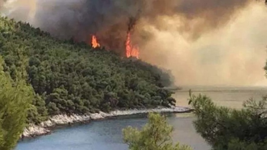 Πυρκαγιά ξέσπασε στα Άσπρα Σπίτια Βοιωτίας - Μεγάλη κινητοποίηση της Πυροσβεστικής από ξηρά και αέρα