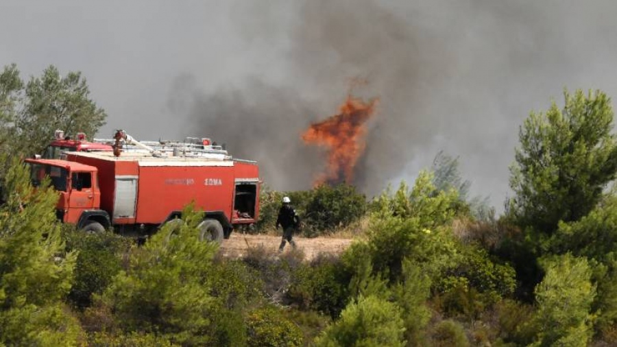 Φωτιά σε δασική έκταση στην Άγναντη Φθιώτιδας - Κινητοποίηση εναέριων μέσων
