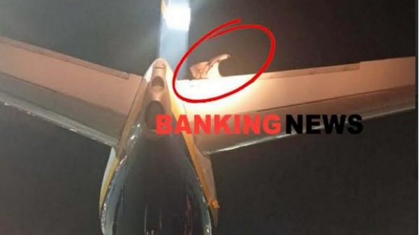 Γύπας «καθήλωσε» αεροπλάνο στο Αεροδρόμιο Ηρακλείου - Κλήθηκε η Πυροσβεστική να τον κατεβάσει από το φτερό