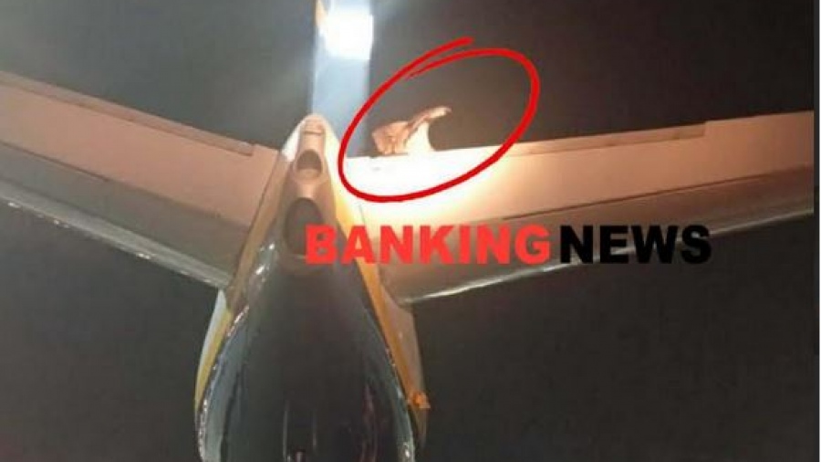 Γύπας «καθήλωσε» αεροπλάνο στο Αεροδρόμιο Ηρακλείου - Κλήθηκε η Πυροσβεστική να τον κατεβάσει από το φτερό