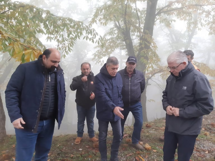 Σε απολογία καλούνται Τριαντόπουλος και Αγοραστός για το μπάζωμα στα Τέμπη