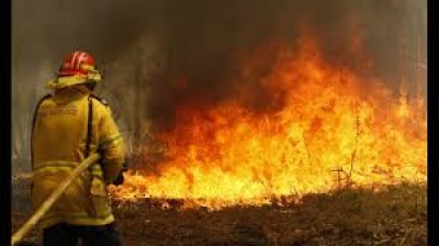Σε μόλις 24 ώρες εκδηλώθηκαν 47 πυρκαγιές σε όλη την Ελλάδα