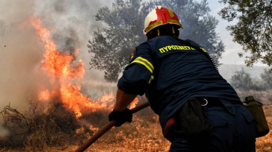 Υπό έλεγχο η δασική πυρκαγιά στον Κάλαμο Ωροπού