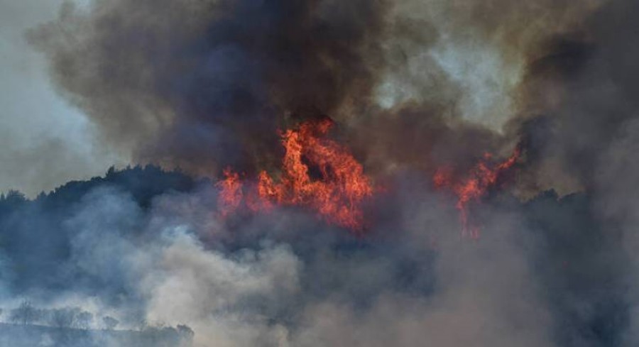 Υπό μερικό έλεγχο η φωτιά στον Ξηρόκαμπο Νεμέας – Πυροσβεστικές δυνάμεις στην περιοχή