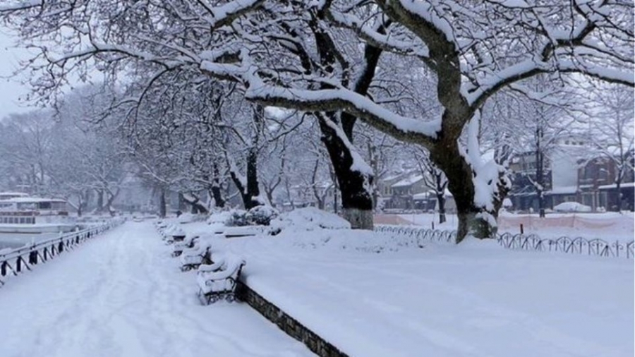 Ο ταξικός χιονιάς και ο αταξικός κορωνοιός – Λίγο χιόνι και κλαδιά δέντρων απορύθμισαν το επιτελικό κράτος