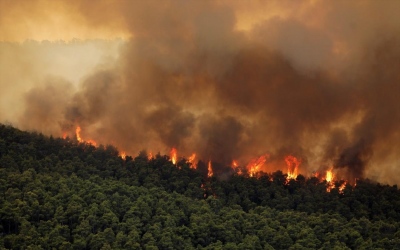 Πάνω από 30 πυρκαγιές στην Ελλάδα σε ένα 24ωρο - Σκληρή μάχη των πυροσβεστών με 6
