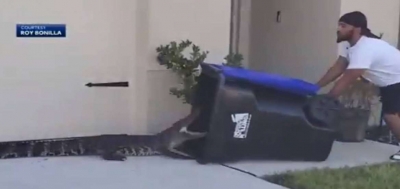 Έπιασε αλιγάτορα με κάδο σκουπιδιών - Το βίντεο που κάνει το γύρο του διαδικτύου