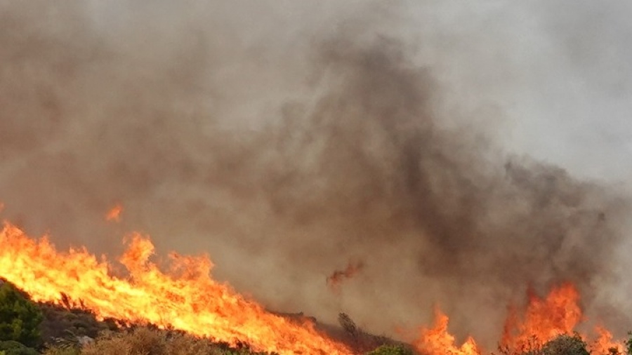 Συναγερμός στην Πυροσβεστική - Μεγάλη αναζωπύρωση της φωτιάς στο Χελιδόνι Ηλείας