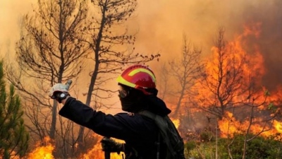 Φωτιά και στη Φυλή: Καίει δασική έκταση κοντά στη Μονή Κλειστών - Εκκένωση προς Άνω Λιόσια