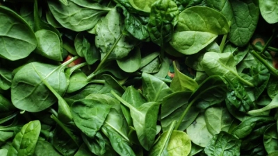 Τι άλλο θα ακούσουμε; Τοξικό σπανάκι προκαλεί παραισθήσεις και παραλήρημα στην Αυστραλία - 120 άτομα αρρώστησαν βαριά
