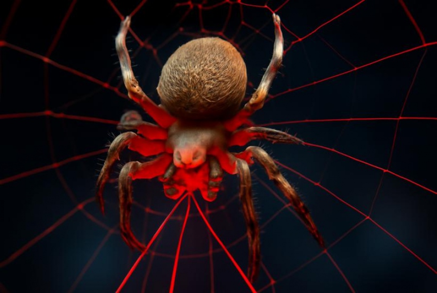 Αράχνες υφαίνουν κόκκινο ιστό... ελαφρύ, ελαστικό, βιοδιασπώμενο! - Η γενετική επανάσταση ενός Nobel στην πράξη