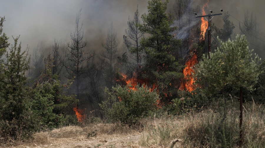 Υπό μερικό έλεγχο οι φωτιές σε Βαρνάβα Αττικής και Αγία Μαρίνα Ευβοίας