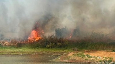 Τρεις συλλήψεις, σε Κορινθία και Λέσβο, για πρόκληση πυρκαγιών από αμέλεια