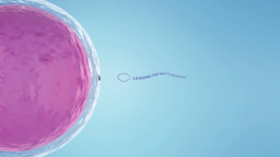 Ο έλεγχος γονιμότητας στη γυναίκα και τον άνδρα