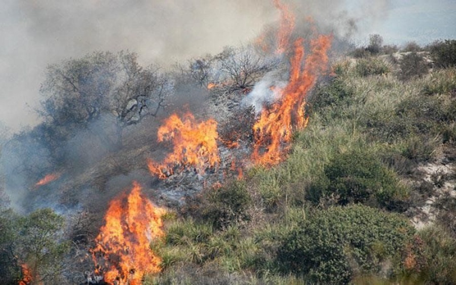 Χίος: Πυρκαγιά σε δασική έκταση με έναν τραυματία