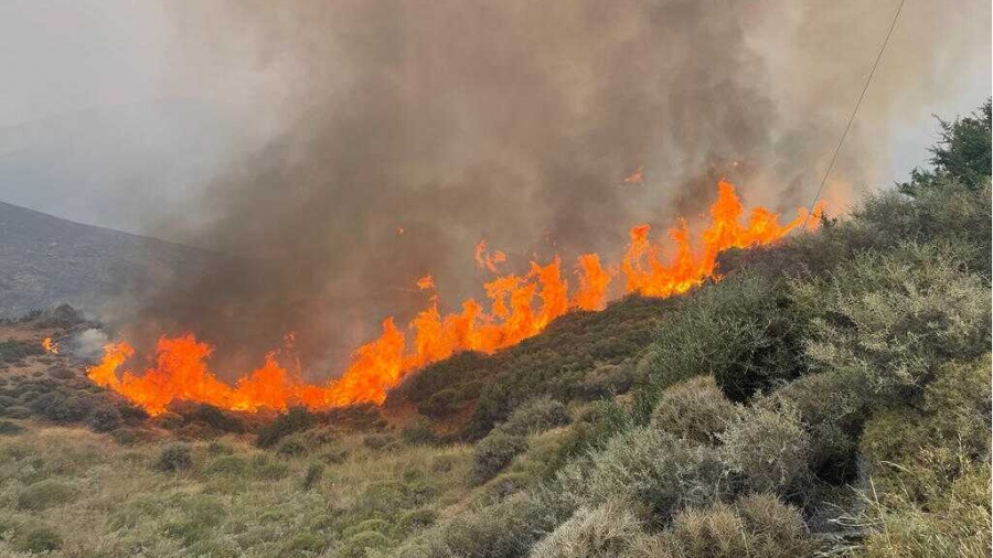 Φωτιά στην περιοχή Άρνα του δήμου Σπάρτης - Ρίψεις νερού από εναέρια μέσα