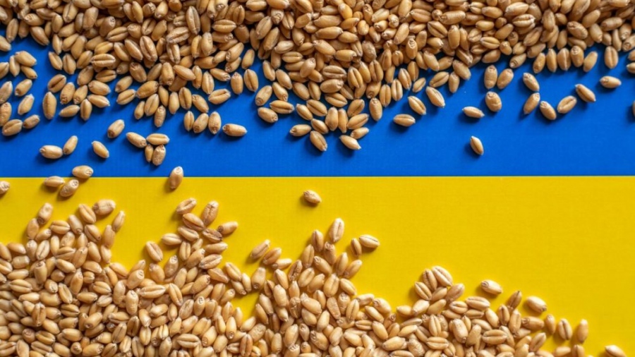 Υποχώρηση της Ουκρανίας για τα σιτηρά: Ακυρώνει την προσφυγή κατά της Πολωνίας στον Παγκόσμιο Οργανισμό Εμπορίου