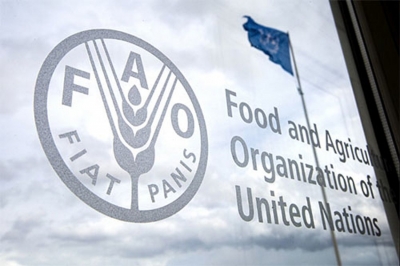 Παγκόσμιος Οργανισμός Τροφίμων και Γεωργίας: Ο δείκτης FAO των τιμών των σιτηρών αυξήθηκε κατά 3% τον Οκτώβριο του 2022