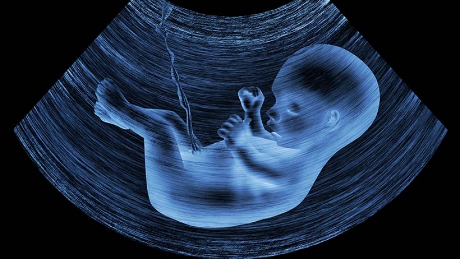 Εξειδικευμένος προγεννητικός έλεγχος - Έγκαιρη διάγνωση παθήσεων και συνδρόμων μητέρας και εμβρύου