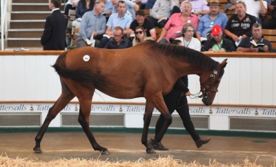 Racing Post: Οι ελληνικές ιπποδρομίες επιστρέφουν από την άβυσσο