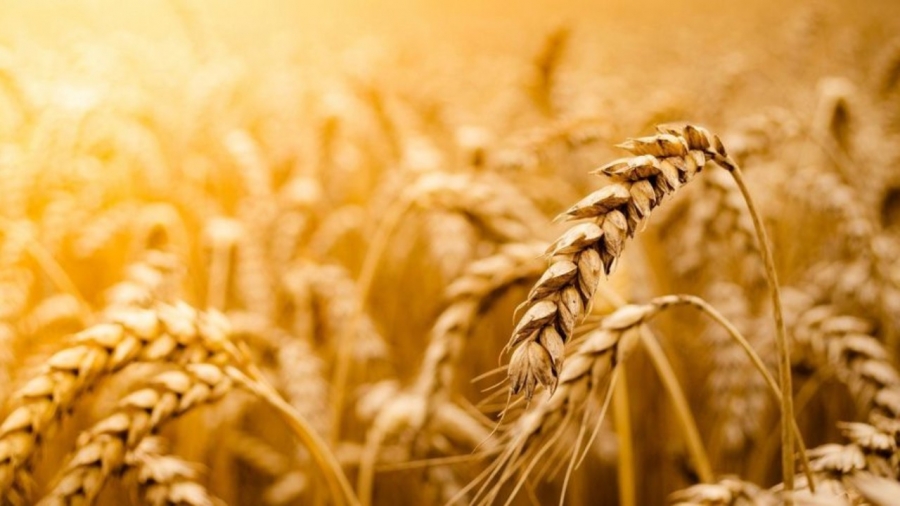 Η Ρωσία απειλεί να αποχωρήσει από την συμφωνία για εξαγωγές σιτηρών - «Ανέφικτη» η συνάντηση Biden - Putin»