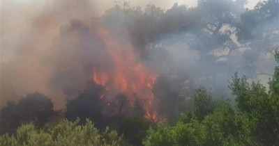 Πίνδος: Έσβησε μετά από 16 ημέρες η φωτιά στον εθνικό δρυμό Βάλια Κάλντα - Σωτήριες οι βροχοπτώσεις