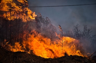 Δύσκολη φωτιά σε δύσβατη περιοχή στη Λάρυμνα Λοκρίδας – Πήρε αμέσως μεγάλες διαστάσεις