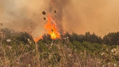 Σε εξέλιξη φωτιές σε Ορεστιάδα και Ηλεία – Λάθος συναγερμός για πυρκαγιά στο Σουφλί