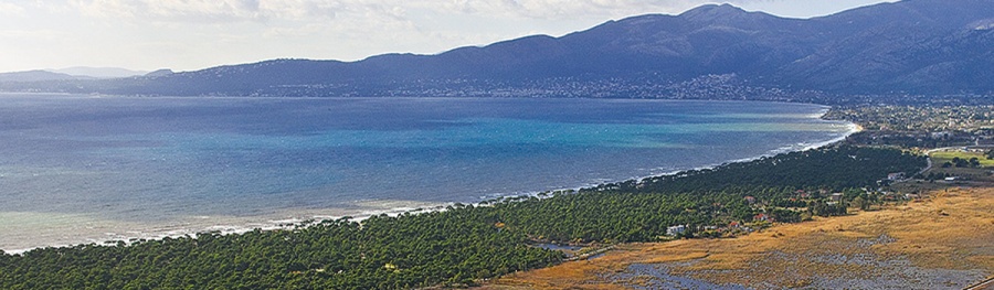 Απαγόρευση κυκλοφορίας οχημάτων και εκδρομέων στο Εθνικό Πάρκο Σχινιά-Μαραθώνα