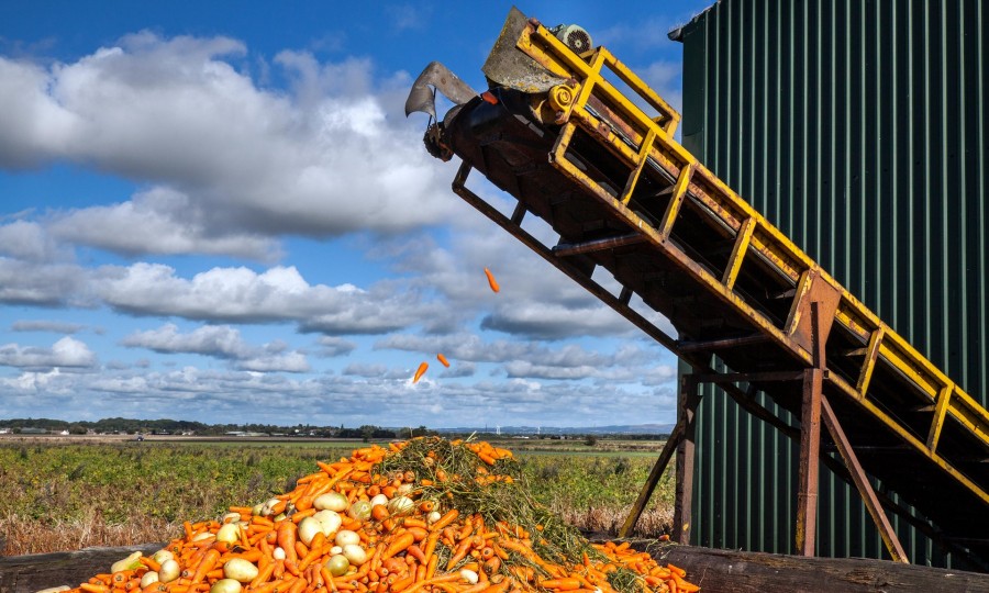 Ένα στα τρία τρόφιμα πετιέται παγκοσμίως - Τεράστια σπατάλη στην Ευρώπη, 143 δισ. ευρώ ετήσιο κόστος