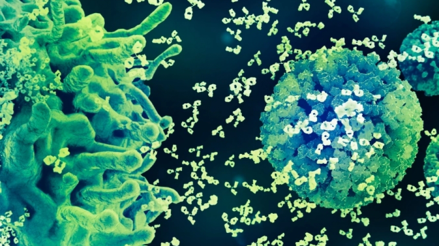 Ανιχνεύτηκε... πολιομυελίτιδα στα λύματα στη Βρετανία - Μεταδόθηκε από εμβόλιο