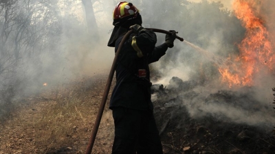 Φωτιά στη Φέριζα του δήμου Σαρωνικού - Εκκενώσεις οικισμών - Ενισχύονται οι δυνάμεις της Πυροσβεστικής