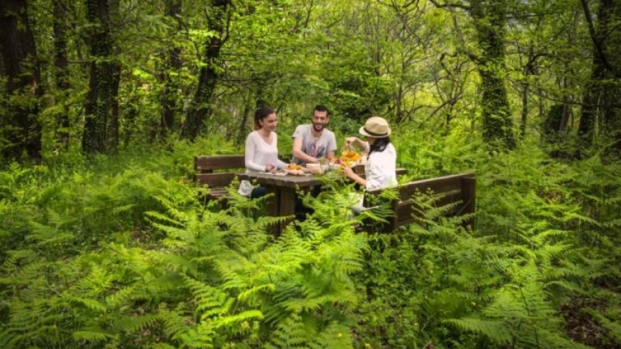 Ποιες χώρες έχουν τη μεγαλύτερη σύνδεση με τη φύση - Η θέση της Ελλάδας