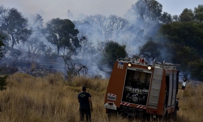 Υπό μερικό έλεγχο η φωτιά που ξέσπασε στις Πρέσπες