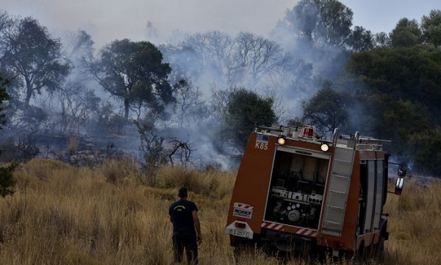 Υπό μερικό έλεγχο η φωτιά που ξέσπασε στις Πρέσπες