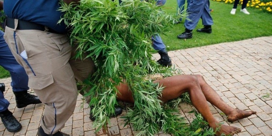 Αφέθηκε ελεύθερος ο «βασιλιάς των Χόισαν» - Καλλιεργούσε κάνναβη στον κήπο του προεδρικού μεγάρου