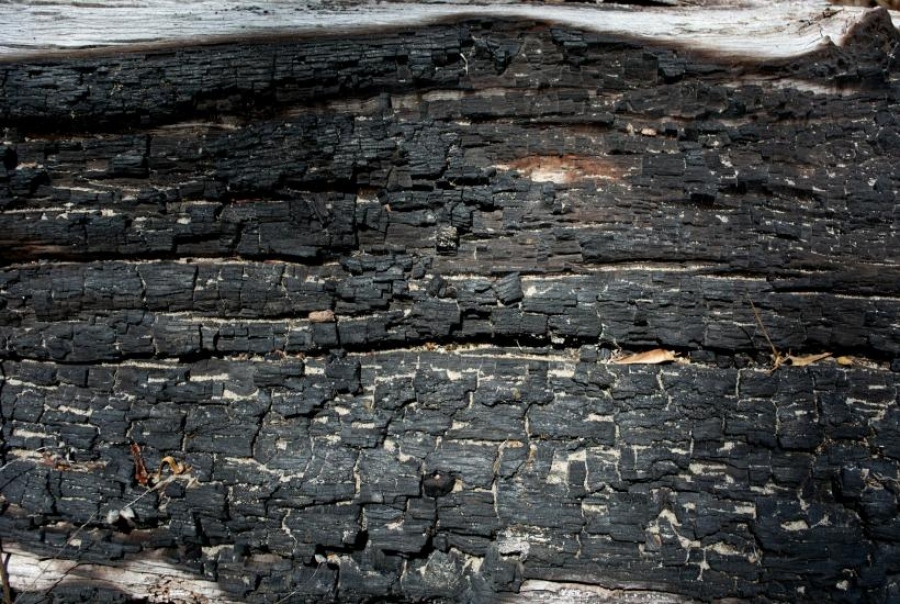 Ο μαύρος χρυσός αλλάζει τον ρόλο του: O άνθρακας Kuzbass έχει μετατραπεί σε μια ισχυρή καρδιά μπαταρίας