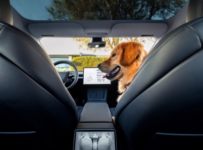 Η φούσκα της Tesla πλησιάζει προς το τέλος της;