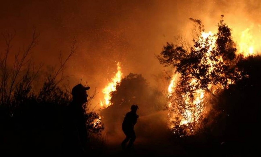 Νέα φωτιά στην Ηλεία, στην περιοχή της Ανδρίτσαινας - 54 πυρκαγιές σε ένα 24ωρο