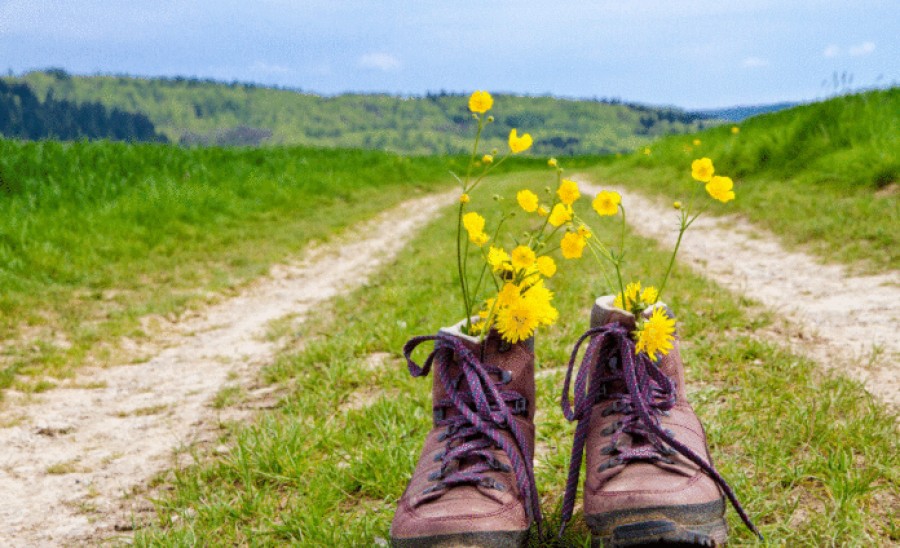 Οικολογία και κοινοτικός τουρισμός, οι νέες τάσεις στα ταξίδια