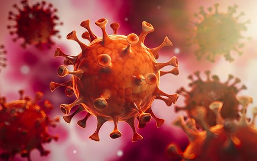 Νέα επιστημονική έρευνα: Γιατί ο κορωνοϊός προκαλεί τελικά απώλεια γεύσης