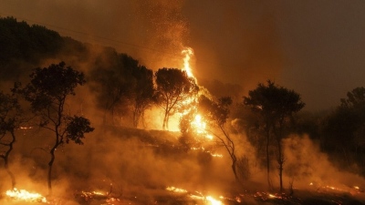 Εικόνες αποκάλυψης στον Έβρο: Μεγάλη και άνιση μάχη με τις φλόγες στη Λευκίμμη, αγωνία για το πύρινο μέτωπο