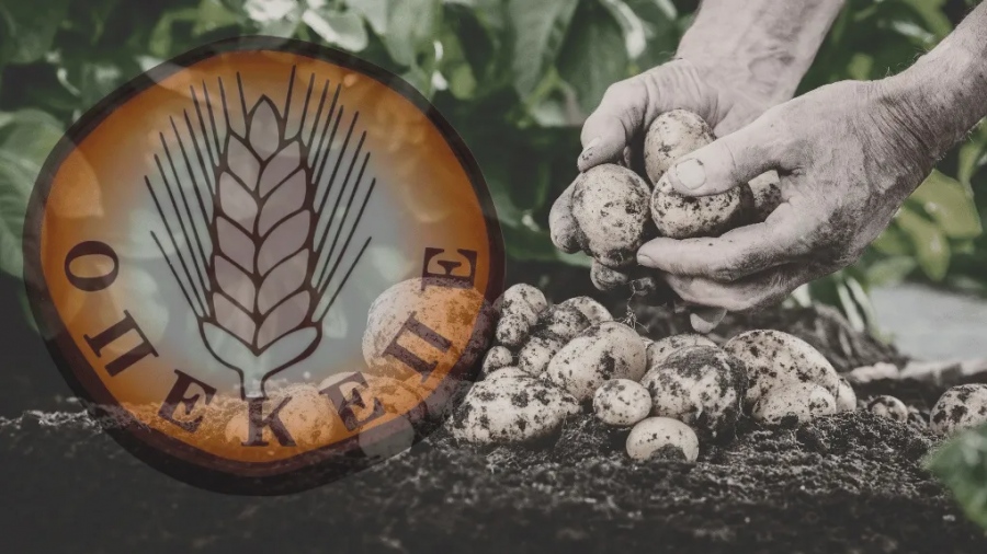 ΟΠΕΚΕΠΕ - Επιδοτήσεις χωρίς... τρακτέρ: Δύο νέες απάτες - μαμούθ ύψους 1,7 εκατ. μπλοκάρει η Αρχή για το Ξέπλυμα