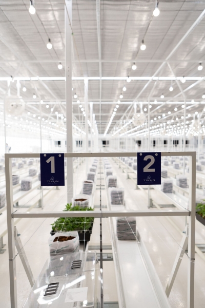 Στρατηγική συμμαχία μεταξύ TIKUN Europe και Lavipharm