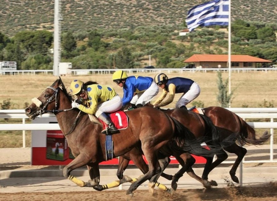 Markopoulo Park: Επιστροφή των ελληνικών ιπποδρομιών με θέαμα και κέρδη