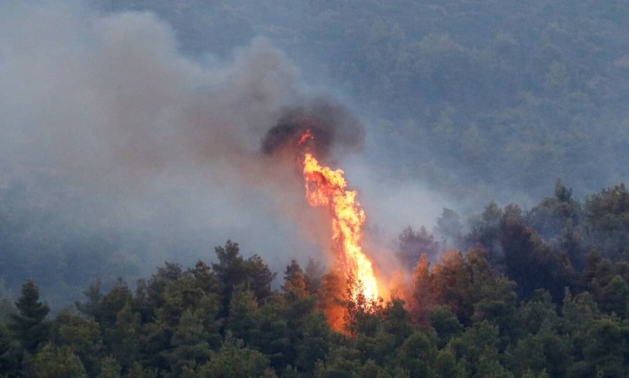 Φωτιά μαίνεται σε δασική έκταση στην περιοχή Βασιλικά Κέρκυρας.